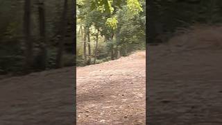 Fall Day at Smith Berry Farm | Hillsboro Oregon Pumpkin Patch 🎃🍂 Family Time in the PNW