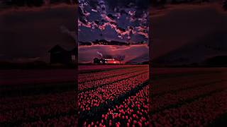 People x Nainowale Ne |#BrokenheartChicha #viral #beats #song #bickyofficialmashup