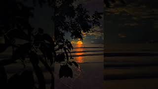 Soft classical song #love #youtube #bangladeshimusic #bangladesh #bangladeshsong