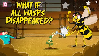 What if All Wasps Disappeared? | Why Do We Need Wasps? | Learn About Insects | Dr. Binocs Show