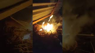 #new_status #alight_motion_black_screen_lyrics_video #viral_status #argentina