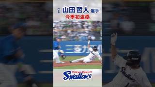 山田哲人選手 今季初盗塁  #swallows #山田哲人 #shorts