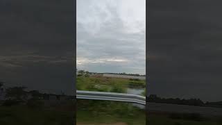 Nature video #feelnature#naturelovers #naturebeauty