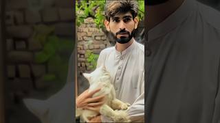 Daman Bacha Sonay Hondy Bewafa | New Saraiki Song 2025 | Heart Touching Bewafa Song