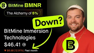 BMNR株：下落はしているが、まだ終息していない！（私が買い続ける理由はこれだ）