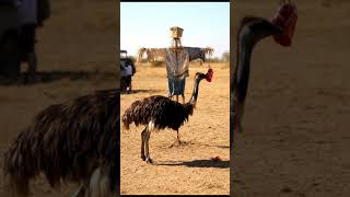 Animal Antics Unleashed: The Scarecrow is Alive! #AnimalAntics #Funny #Ostrich #Scare