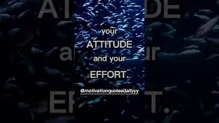 Attitude and Effort #motivation #quotes #daily #motivationquotes  #motivationquotesdaily