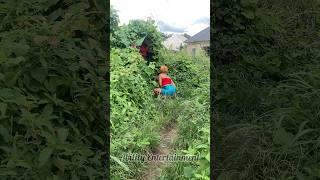 #music #beats #remix #song #flstudio #comedy #amapianotv #musicgenre #funny #lifeisbutadream #shorts