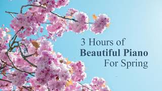 3 Hours of Beautiful & Nostalgic Piano Music for Spring – For Studying and Relaxation ✿｜BigRicePiano