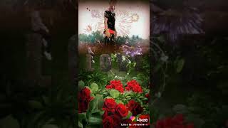 tiktok viral video 2021