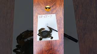 Funny Animals Videos #funnyanimals #memeanimals #hilariousanimals #animalslove