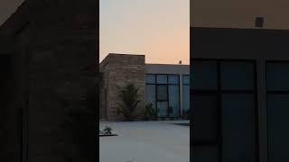 nature 🪴🥀#youtubeshorts #nature #saudiarabia #flowers #subscribe #shortvideo