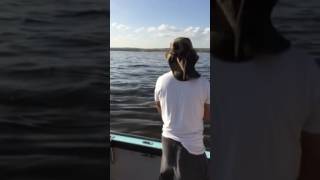 Bass fishing 2015 never enuff
