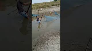 ｍｕｌｔｉｐｌｅ Nephew is fishing.