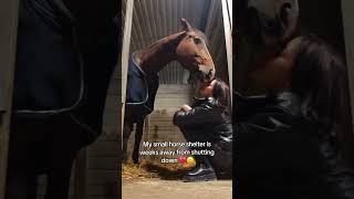 #horsefarm #savehorses #sanctuary #slippers #horses #cute #jewlery