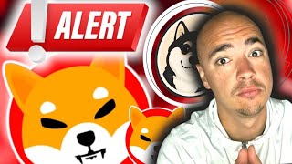 SHIB-Backed Project Could Be The Next Big Thing!