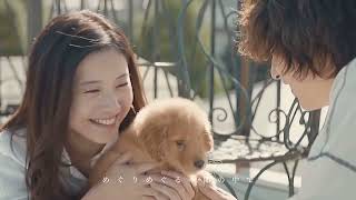 公開日から今日で１年 💐 今でもいちばん好きな作品です。 #きみの瞳が問いかけている #横浜流星 #吉高由里子 #映画 #おすすめ