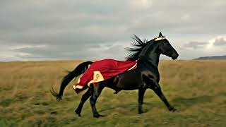 Prince - Horse TF