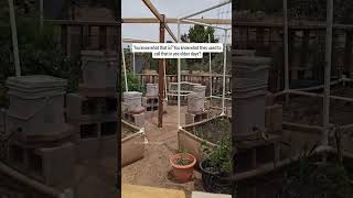 Share this reel to find those friends 😉 #millenials #homesteading #homesteader #genz #dreamscometrue