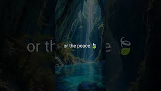 What would you choose 🍂#peaceful #aesthetic #beauty #nature #citylife #tranquilitytime