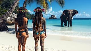 Island Girls Gone Wild? 😵 Reggae Summer Mix 2025🌴
