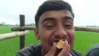 বৃষ্টির দিনে পেঁপে ভর্তা।