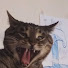アイコン
