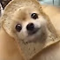 アイコン